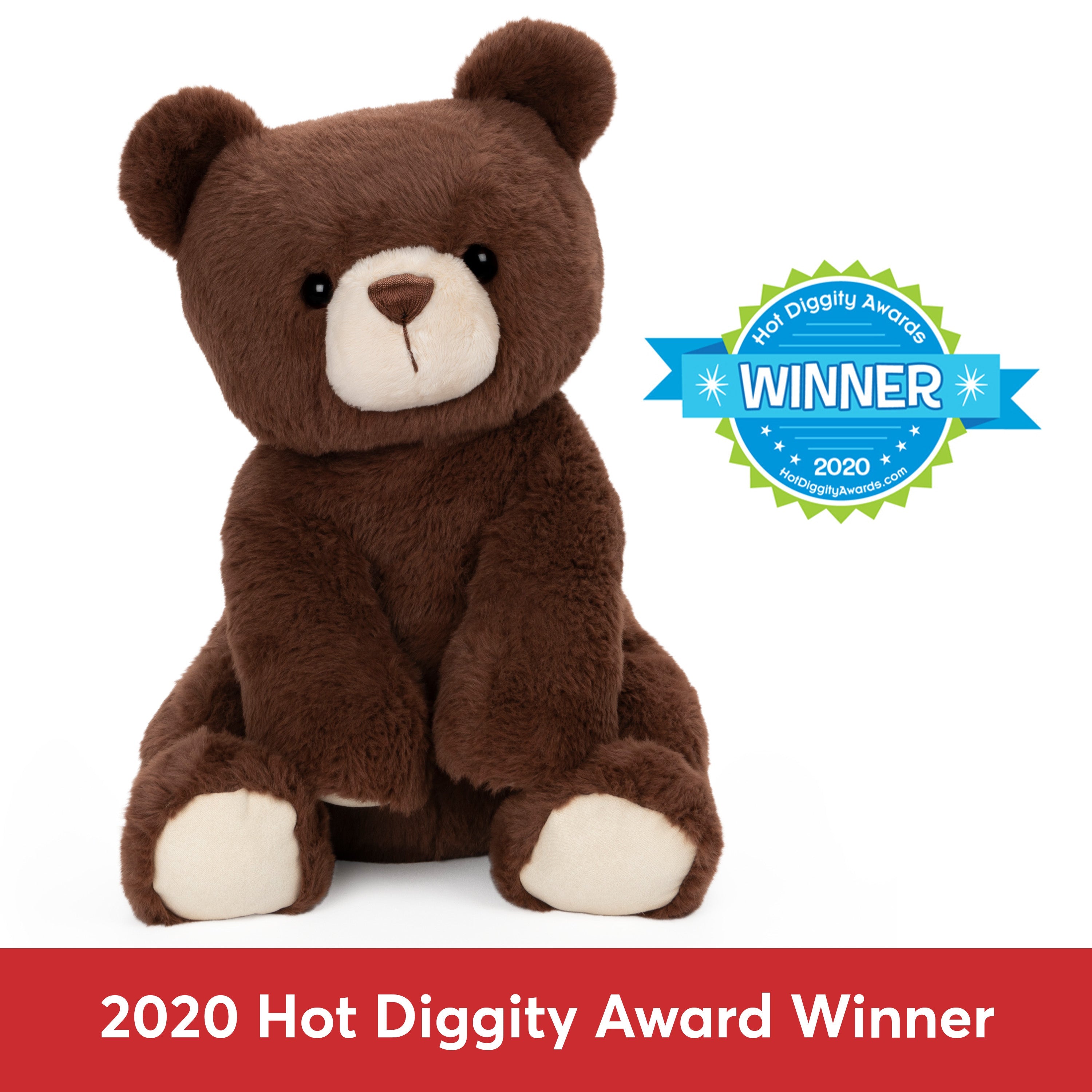 Finley Bear, 13 in