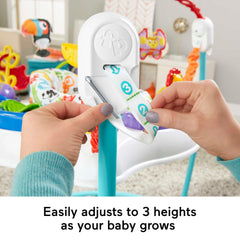 Fisher-Price Animal Activity Jumperoo With Music, Lights & Sounds