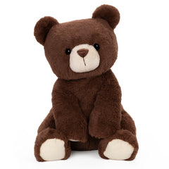 Finley Bear, 13 in
