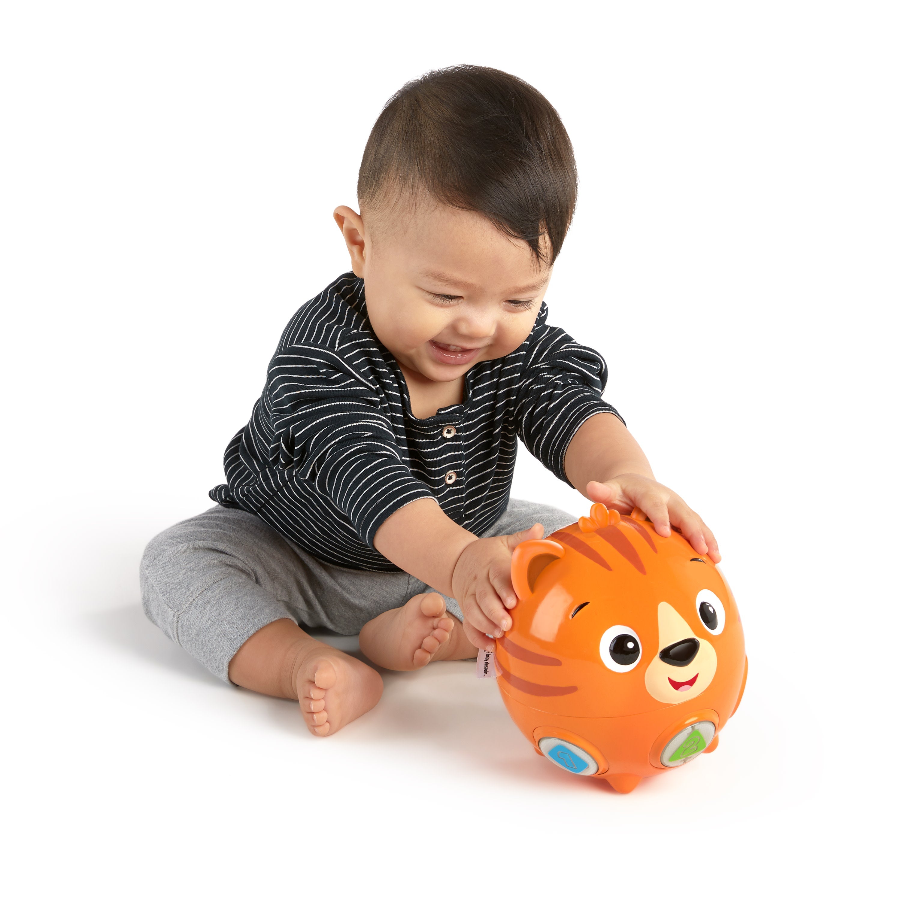 Baby Einstein Tinkers Crawl Along Songs Tummy-Time Musical Toy