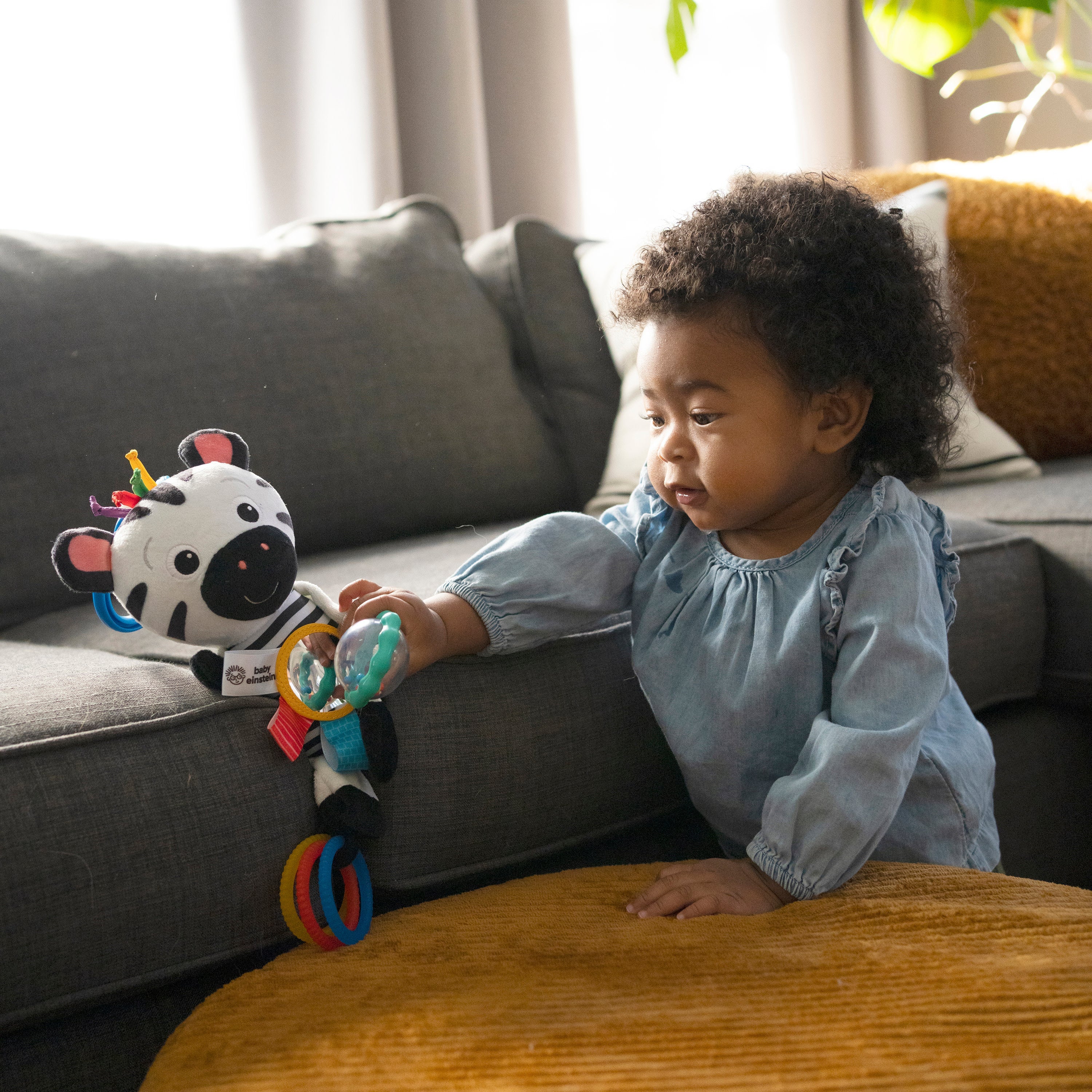 Baby Einstein Zen's Sensory Play Plush Stroller Activity Toy