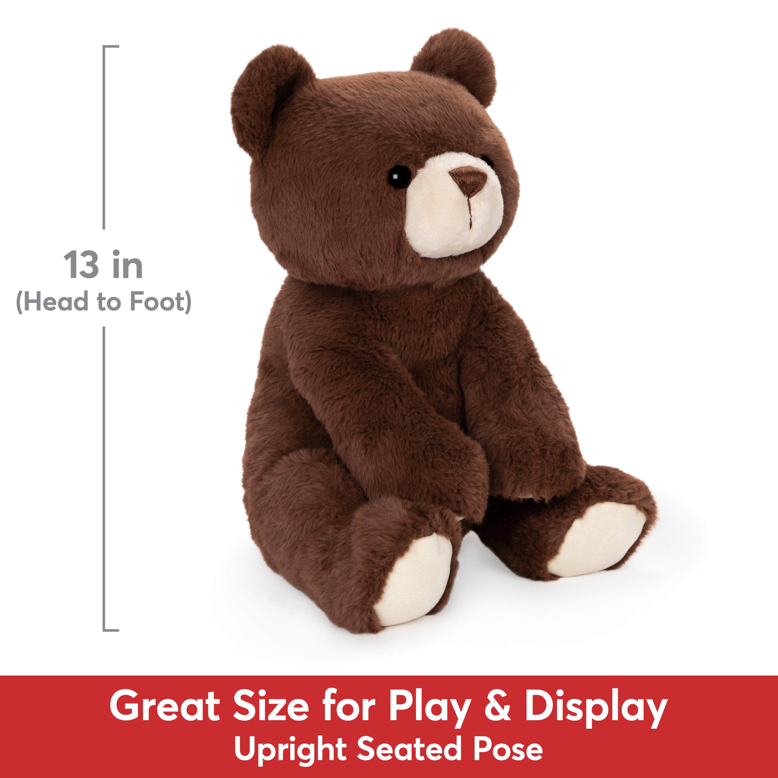 Finley Bear, 13 in