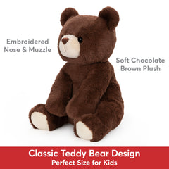 Finley Bear, 13 in