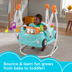 Fisher-Price 2-In-1 Sweet Ride Jumperoo Baby Activity Center For Infants And Toddlers