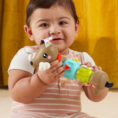Fisher-Price Brinquedo para Bebês Cachorrinho Dachshund Atividades Divertidas