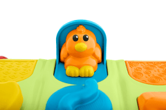 Fisher-Price Brinquedo para Bebês Lagarta Atividades