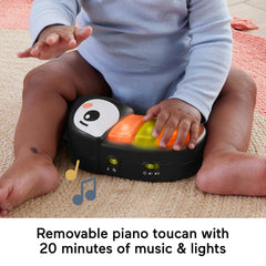 Fisher-Price Jumperoo Baby Activity Center With Lights Music And Sounds, Palm Paradise