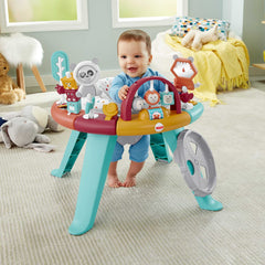 Fisher-Price Centre D’Activités 3 en 1