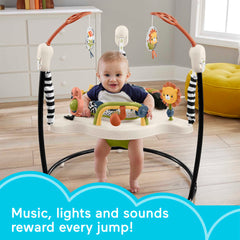 Fisher-Price Jumperoo Baby Activity Center With Lights Music And Sounds, Palm Paradise